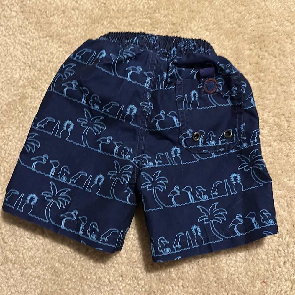 Beach bros boys lined swim suit size 2T - Picture 4 of 4